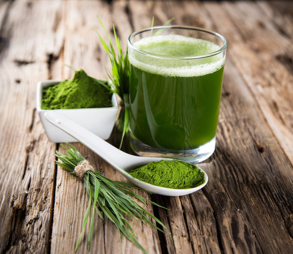 Wheatgrass Elixir – BareOrganics.com