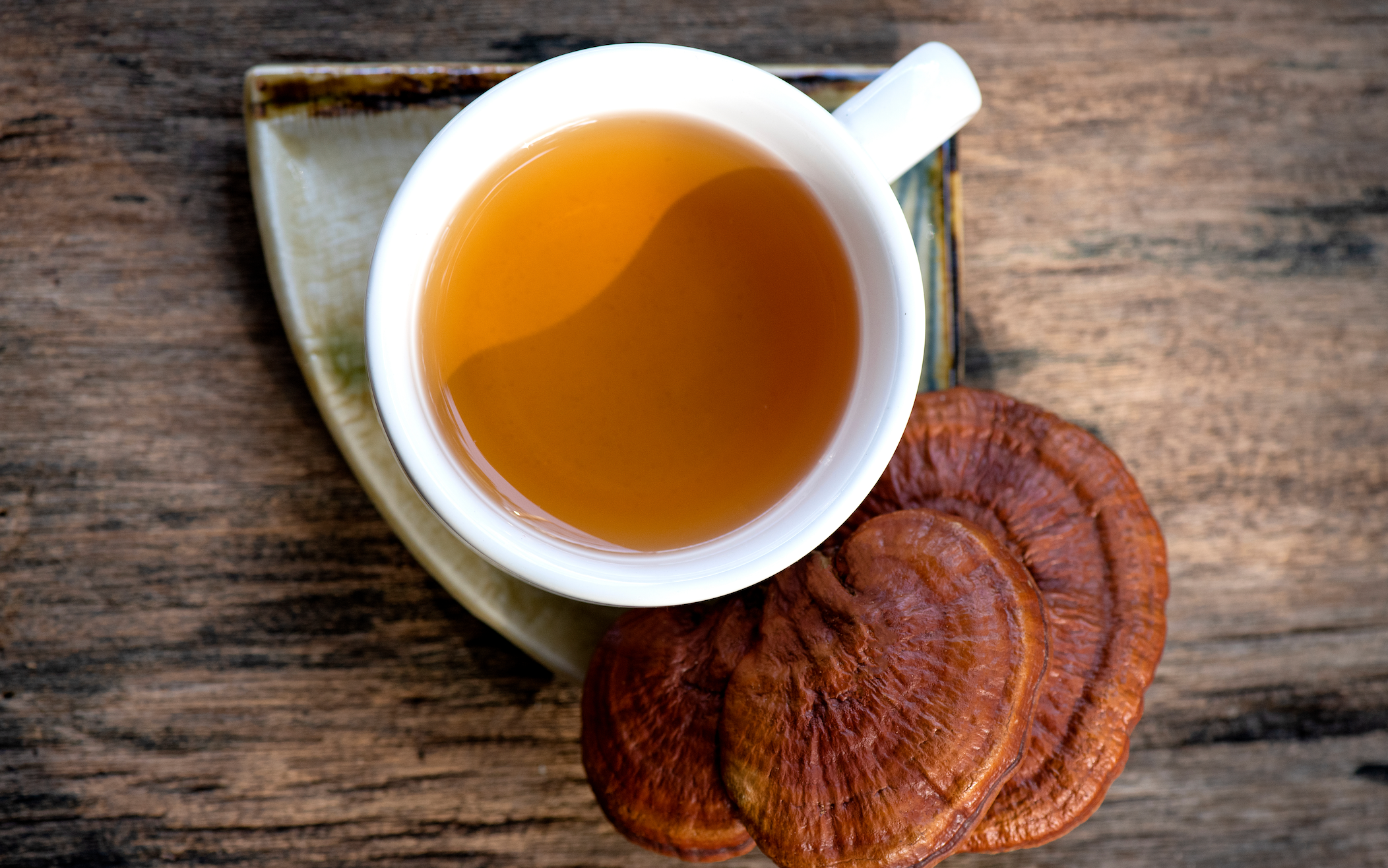 Red Reishi Mushroom Honey Tea