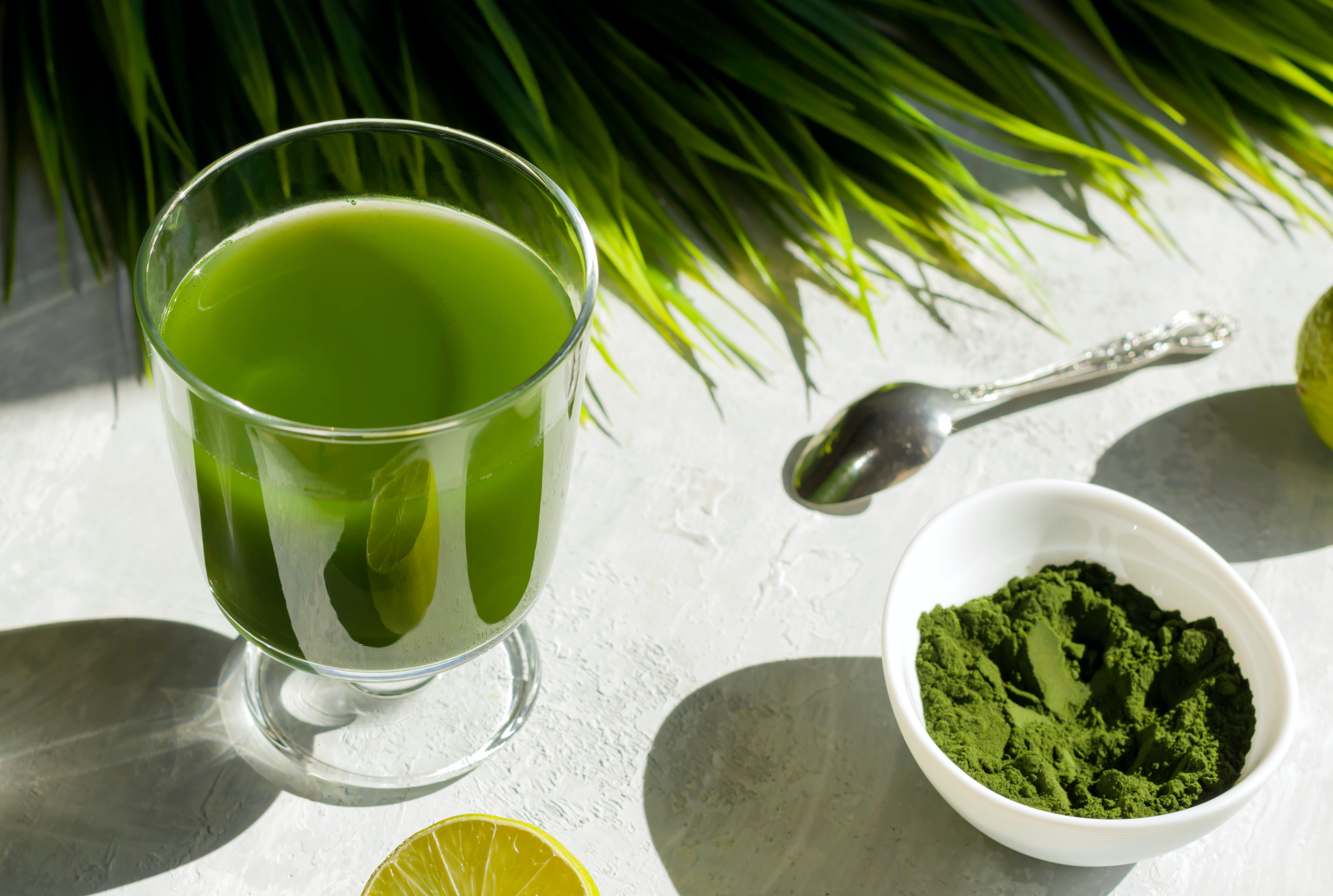 Marine Greens Elixir