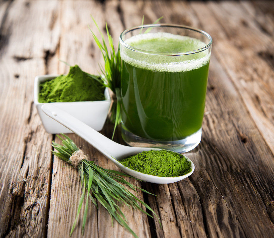 Wheatgrass Elixir